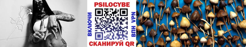 Галлюциногенные грибы ЛСД  Пыталово 